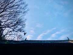 -秋霞圃