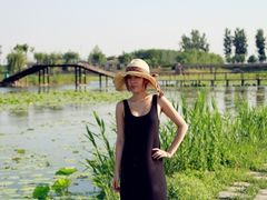 -白洋淀景区
