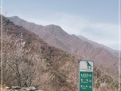 -北京鹫峰国家森林公园