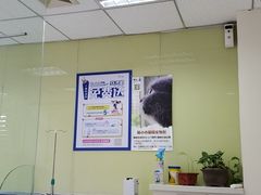 -宠福鑫动物医院(立水桥分院)