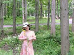 -黄海国家森林公园