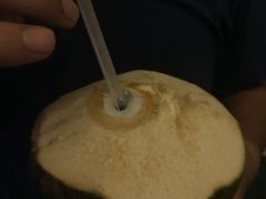 -都念榴莲·城市榴莲