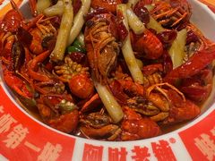 -阿财老铺·老蚌埠龙虾城(华夏总店)