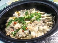-台山美食一绝阿四台山黄鳝饭(阿四创作店)