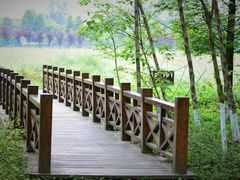 -桤木河湿地公园