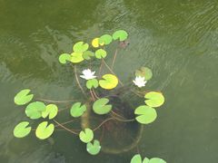 -云中小雅