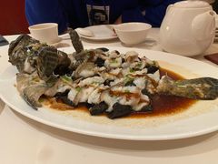 古法蒸老虎斑-利苑酒家(金宝店)