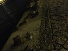 -多瑙河畔鞋履雕塑