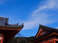 -常寂光寺