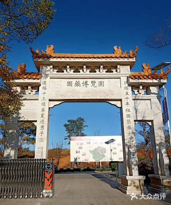 杏林大观园图片