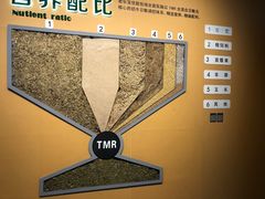 -君乐宝优致牧场