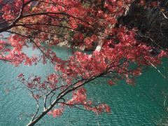 -叠溪松坪沟景区