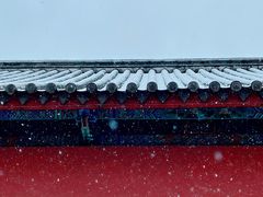 -真庆观