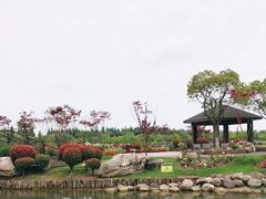 -上海鲜花港