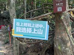 -七仙岭温泉国家森林公园