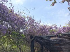 -九龙潭景区