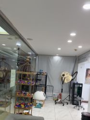 点击看大图 -镁连社·美联社