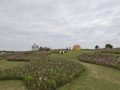 -空港花田景区