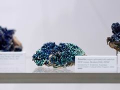 -墨尔本博物馆(Melbourne Museum)