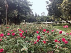 -人民公园(罗湖区)