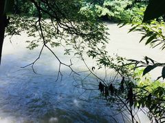-浣花小筑