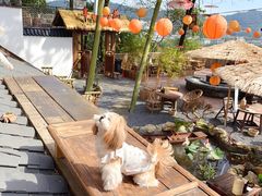 -伴山茶苑·围炉煮茶