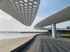 -宝安西湾红树林湿地公园