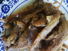 -山水间小院