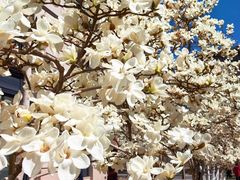 -锦什坊街叁拾伍号大厦