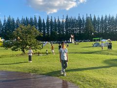 -黄海国家森林公园