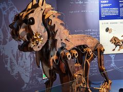 -国家自然博物馆