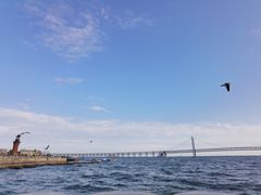 -星海广场