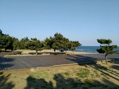 景点-老虎石海上公园