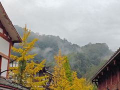 -青城山
