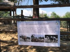 -青藏高原野生动物园
