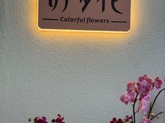 -溪岸路花鸟市场