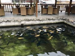 -京北渔家傲