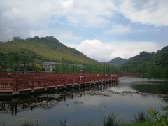 -广州市石门国家森林公园