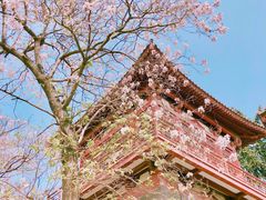 -西安青龙寺遗址景区