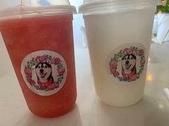 -Husky Go! 哈士奇体验馆·宠物咖啡厅狗咖