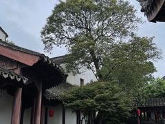 -檀园