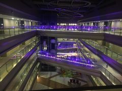 -南京禄口机场雅高铂尔曼大酒店