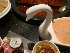 -井格重庆火锅(新世纪店)