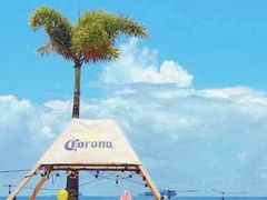 -西涌国际滨海旅游区