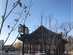 -西海子公园