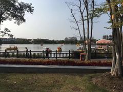 -上海长兴岛郊野公园