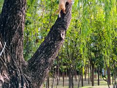 -北京西山国家森林公园