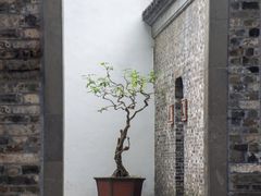 -个园