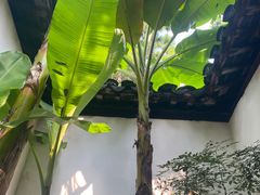 -秋霞圃