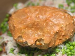 -Oyster Talks 四度蚝法餐厅